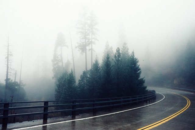 road-fog-bend-foggy