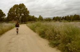 Jalgrattaga Sardiinia maaelu avastamas