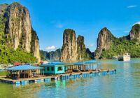 Vietnami