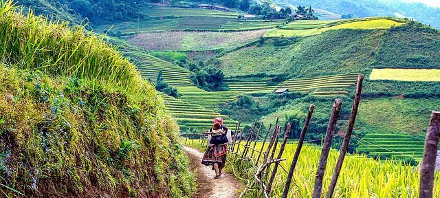 Edasi-tagasi Londonist Hanoisse al 351 €