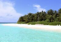 Maldiividele