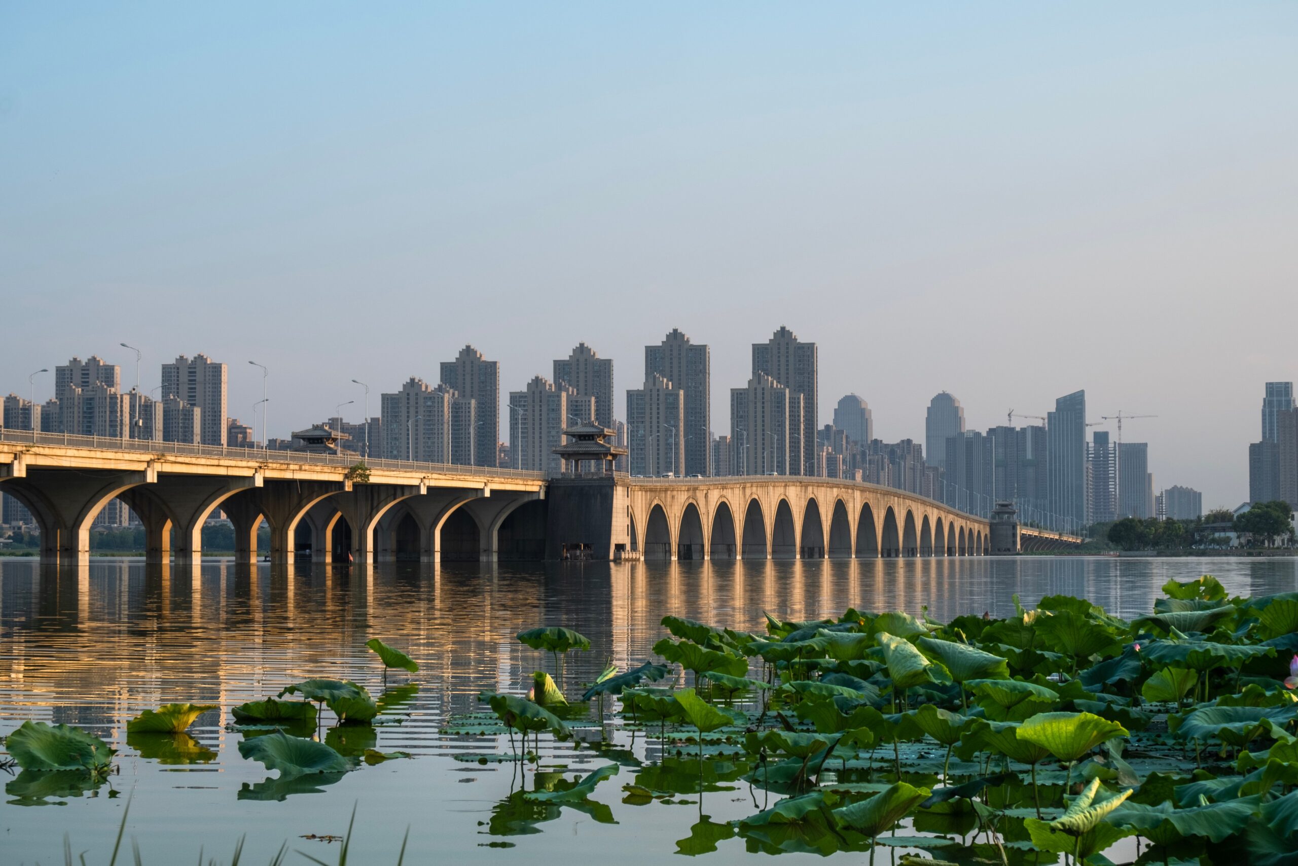Wuhanisse