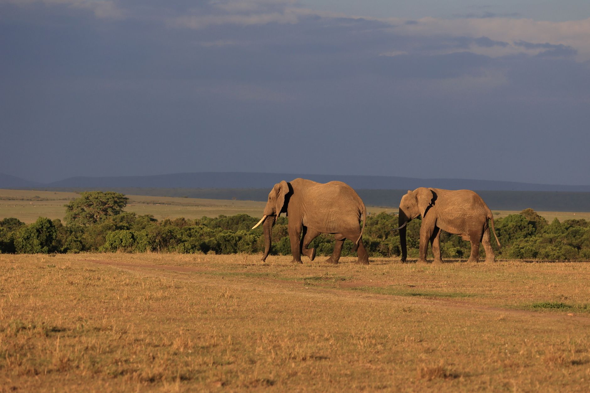 Nairobi