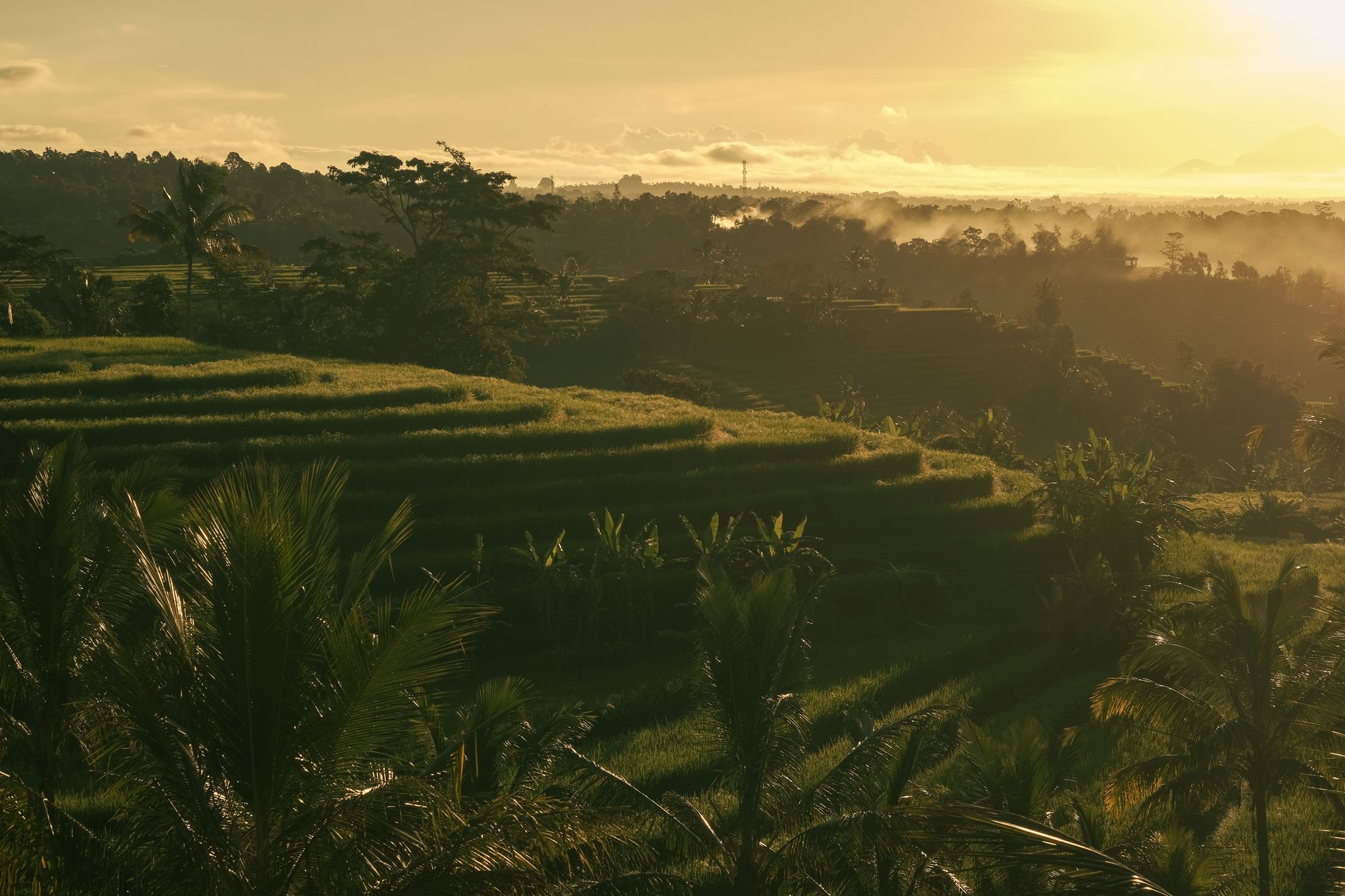 Bali
