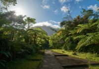 Guadeloupele
