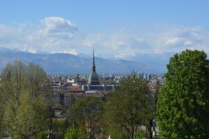 Torinosse